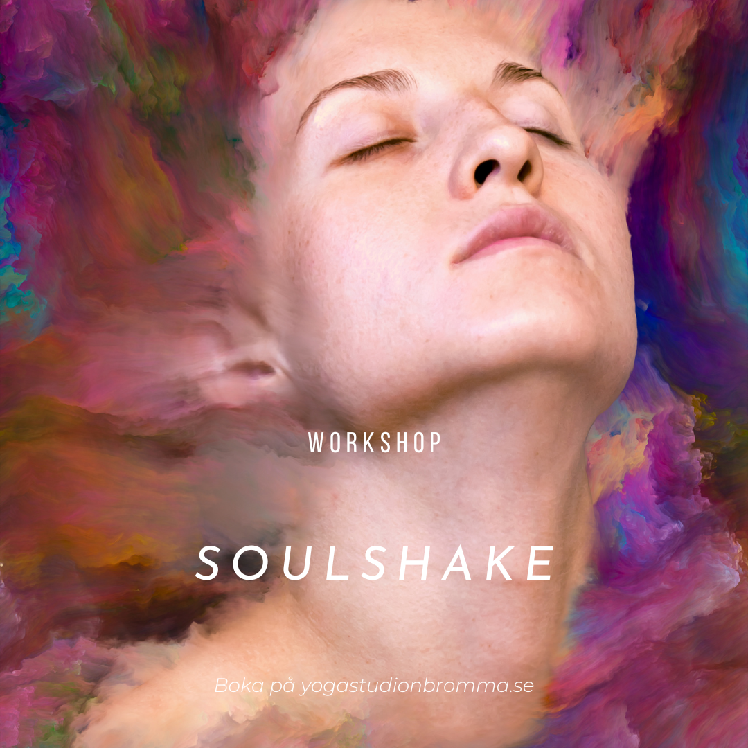Soulshake - Workshop Lördag - 30/9, 11/11, 16/12