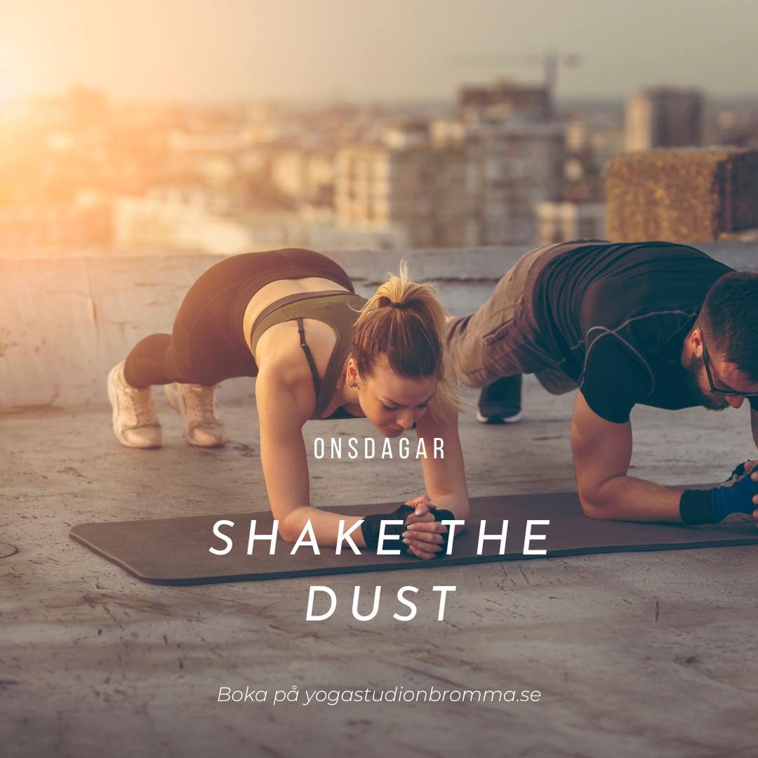 Shake the Dust - Onsdagar- Kvällsklass
