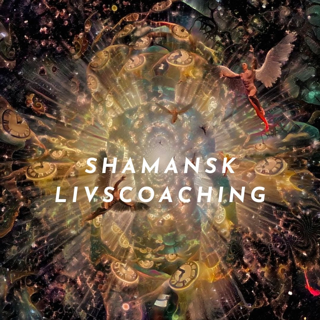 Shamansk livscoaching 5 tillfällen - lev ditt liv i energi