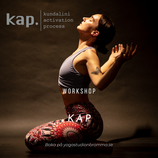 KAP - Kundalini Activation Process, 1/10 (fullbokat), 12/11, 3/12
